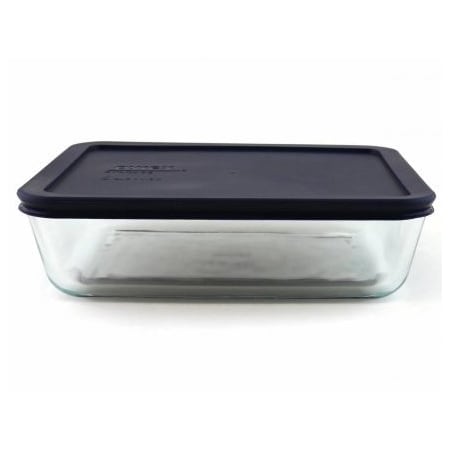 Instant Brands Glass Staining Dish w/Lid, Large, 2/pk, 2PK 248926
